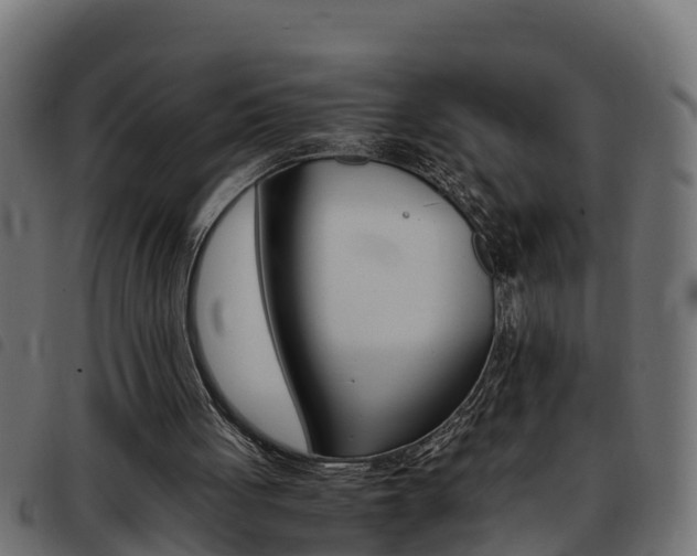 X0000093430051200710120926