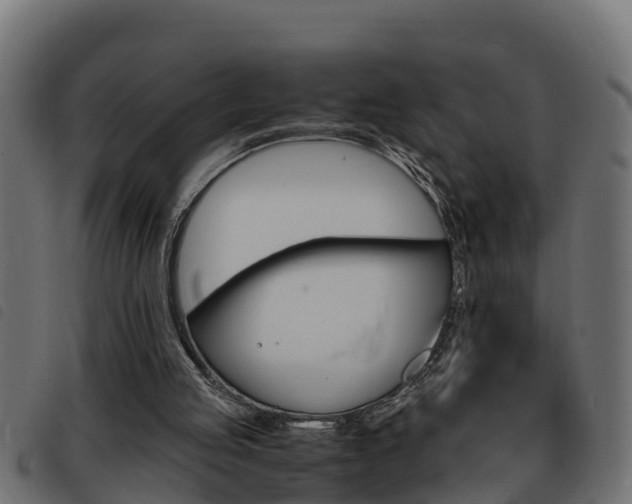 X0000093430053200710120926