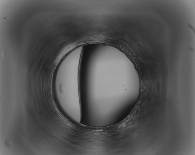 X0000093430054200710120926