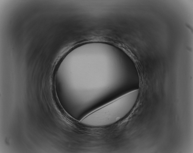 X0000093430055200710120926