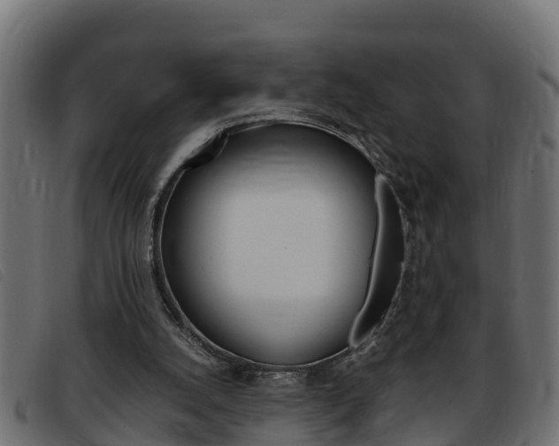 X0000093430056200710120926