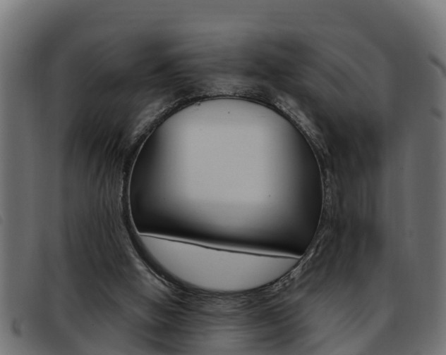 X0000093430058200710120926