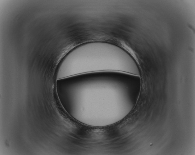 X0000093430059200710120926