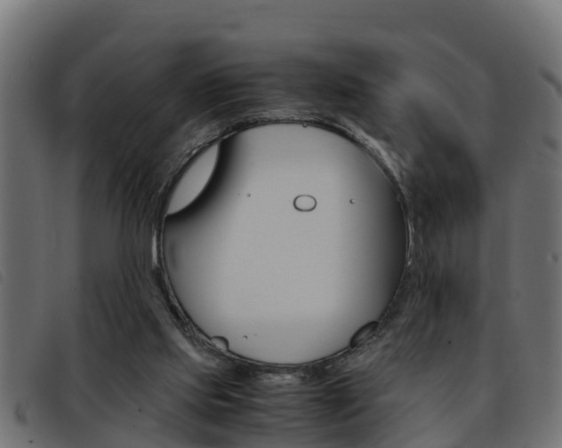 X0000093430061200710120926