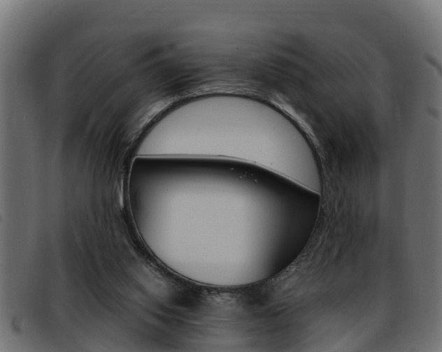 X0000093430062200710120926