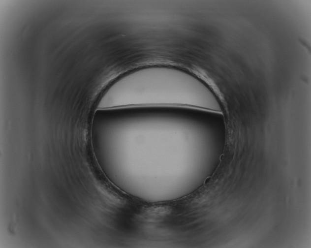 X0000093430063200710120926