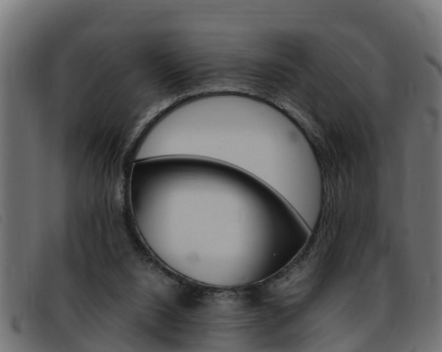 X0000093430064200710120926