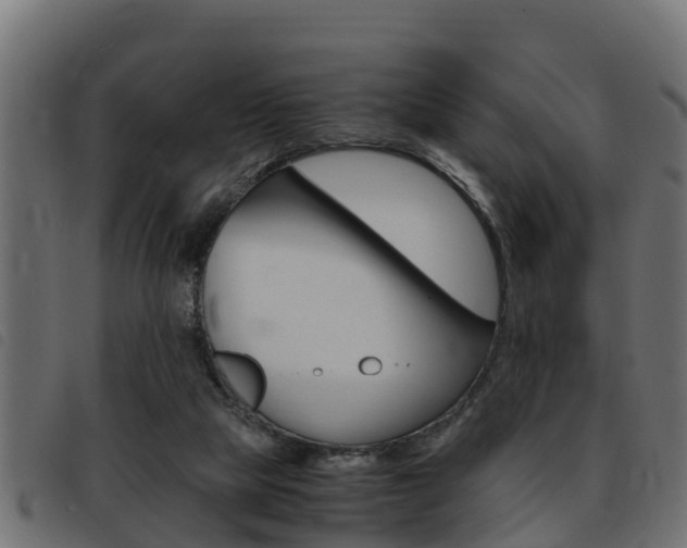 X0000093430065200710120926