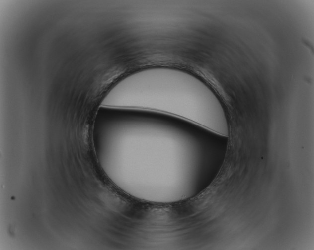 X0000093430066200710120926