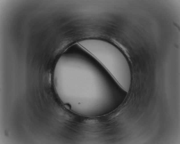 X0000093430067200710120926