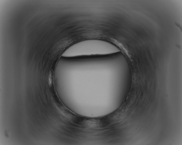 X0000093430069200710120926