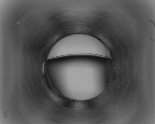 X0000093430070200710120926