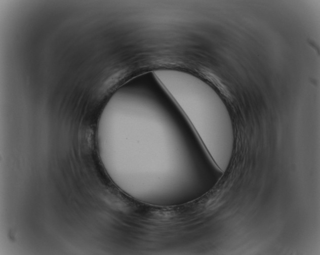 X0000093430071200710120926