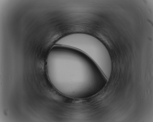 X0000093430072200710120926