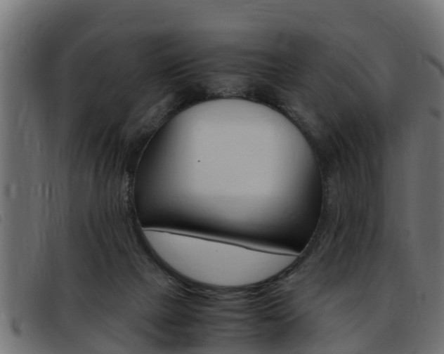 X0000093430073200710120926