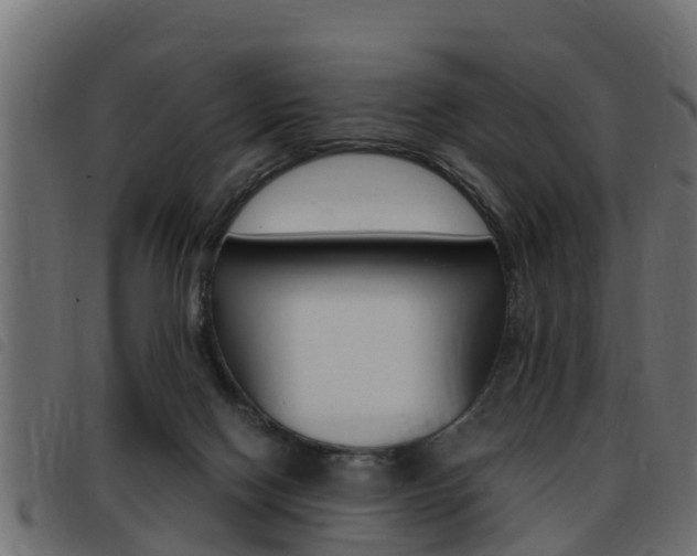X0000093430074200710120926