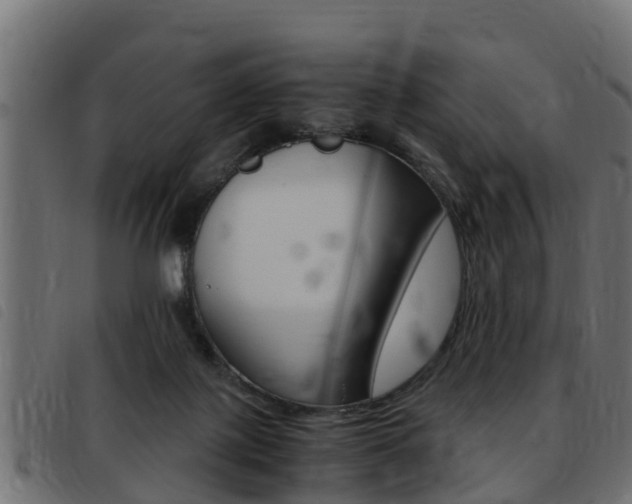X0000093430075200710120926