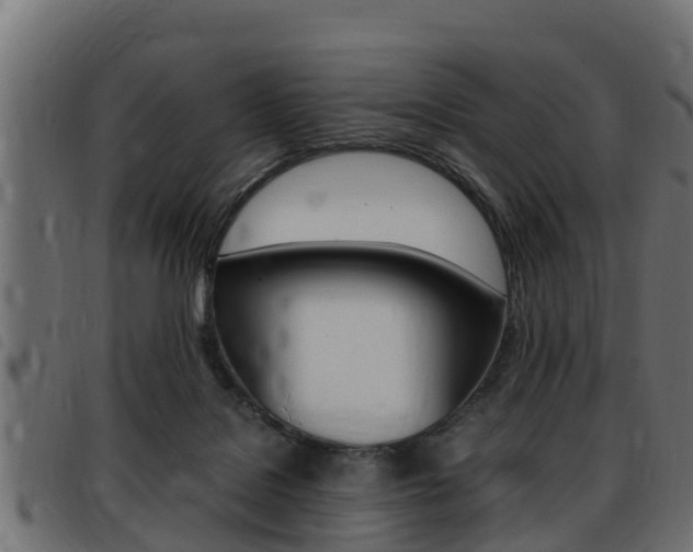 X0000093430076200710120926