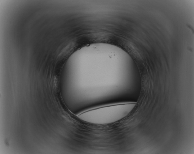 X0000093430077200710120926