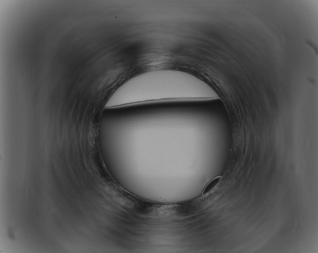 X0000093430078200710120926