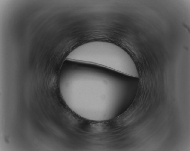 X0000093430079200710120926