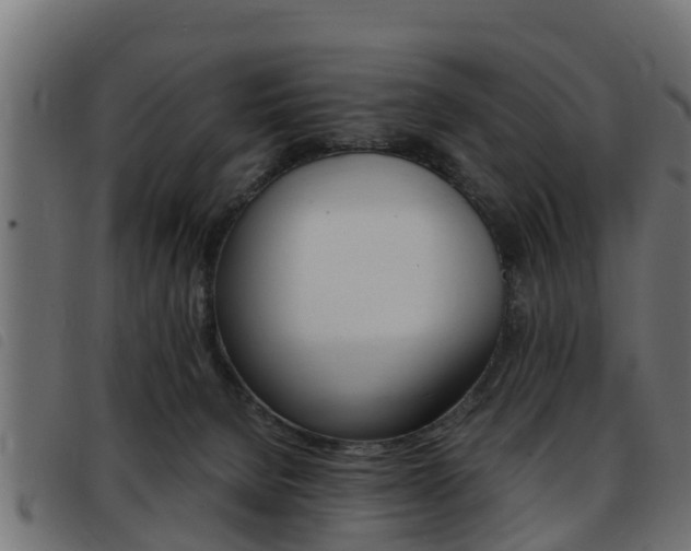 X0000093430080200710120926