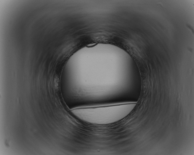 X0000093430081200710120926