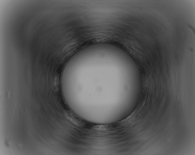 X0000093430082200710120926
