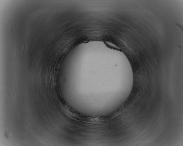 X0000093430083200710120926