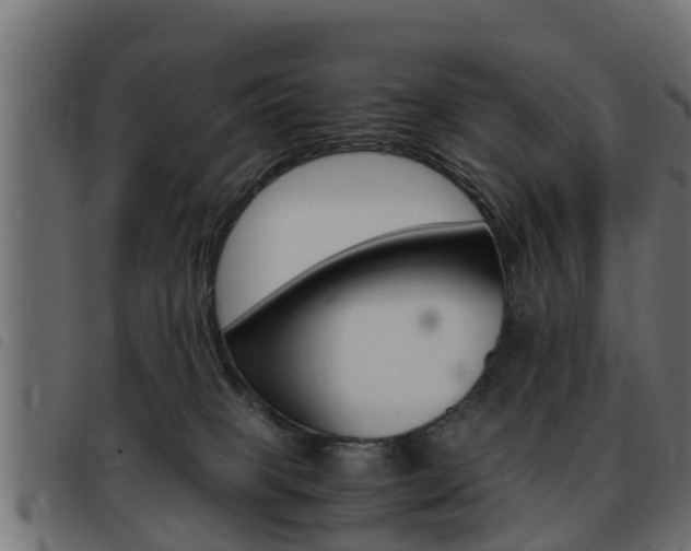 X0000093430085200710120926