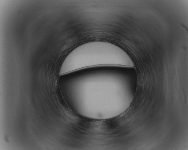 X0000093430086200710120926