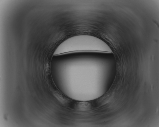 X0000093430087200710120926