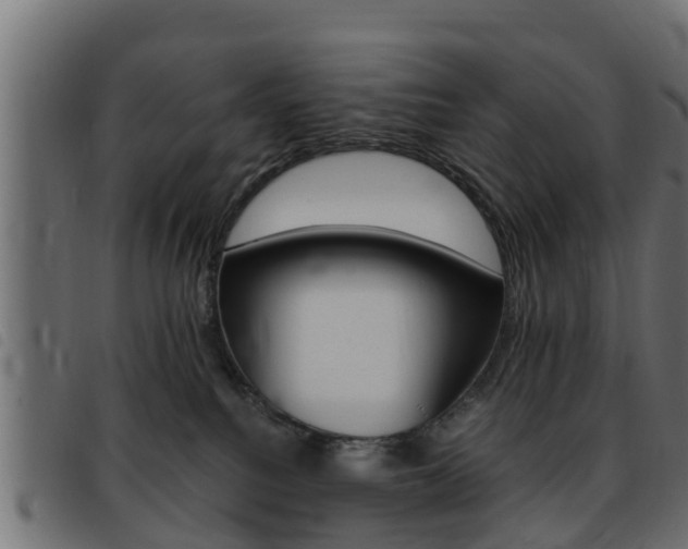 X0000093430088200710120926