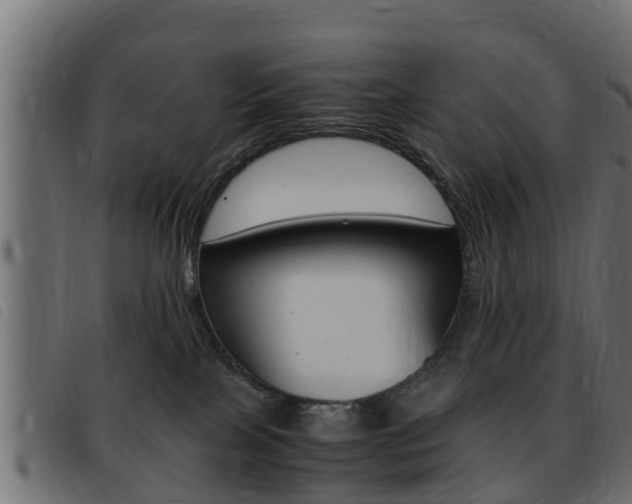 X0000093430089200710120926
