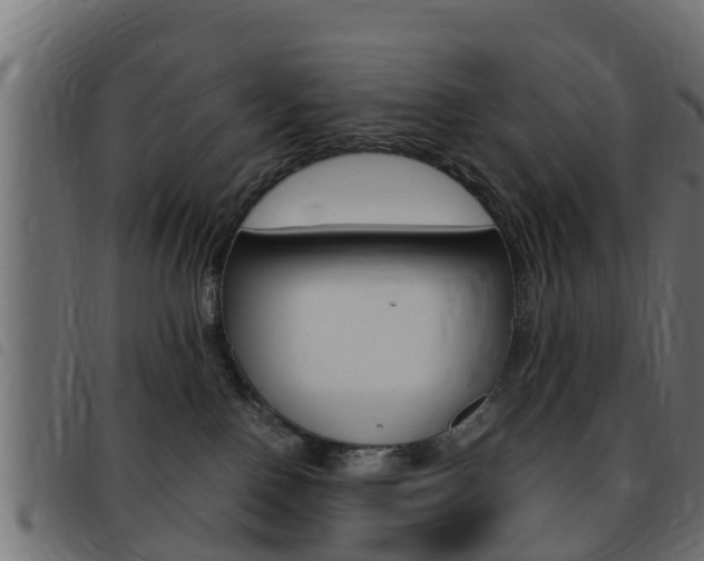 X0000093430090200710120926