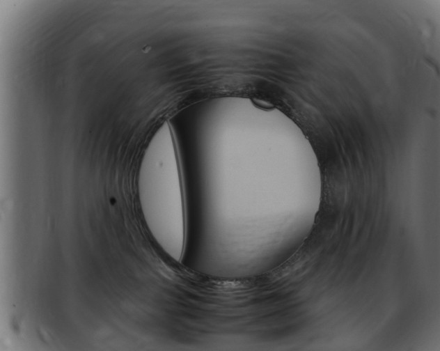 X0000093430091200710120926