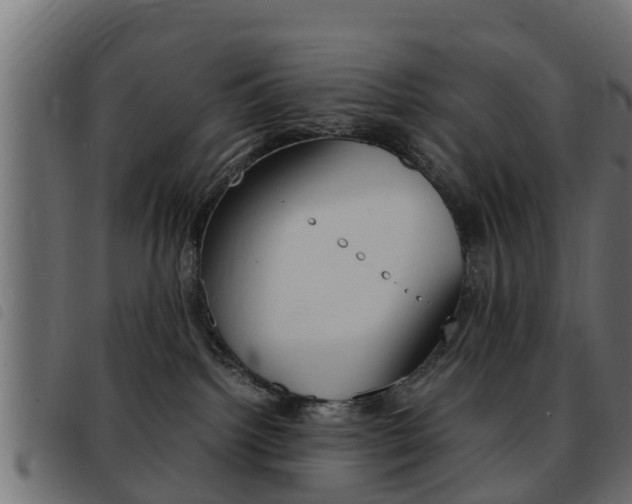 X0000093430092200710120926