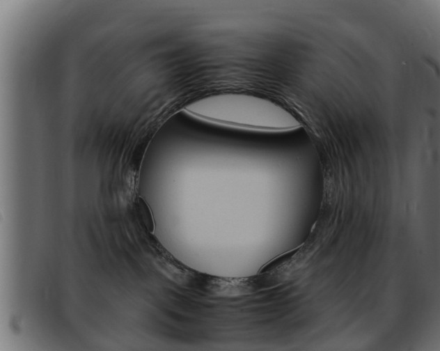 X0000093430093200710120926