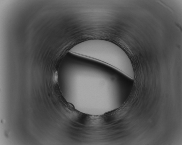 X0000093430095200710120927