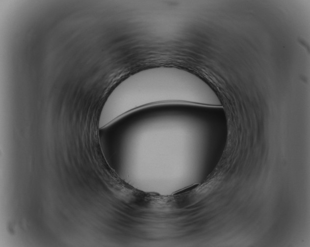 X0000093430096200710120927