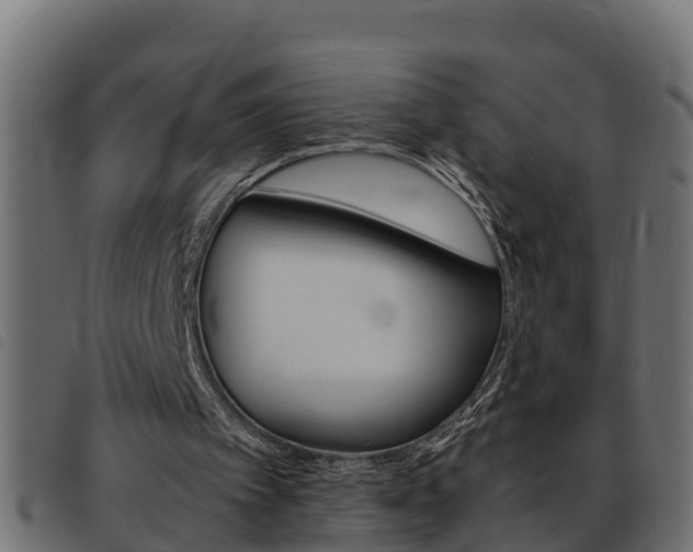 X0000093430097200710120926
