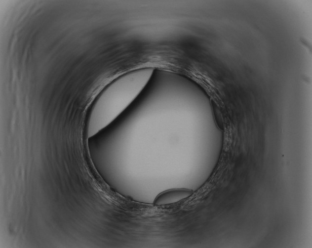 X0000093430098200710120926