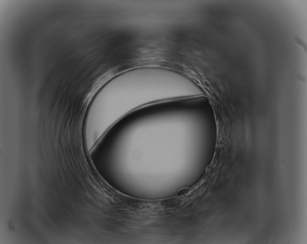 X0000093430099200710120926