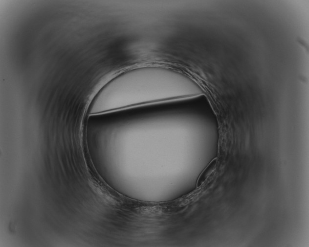X0000093430100200710120926