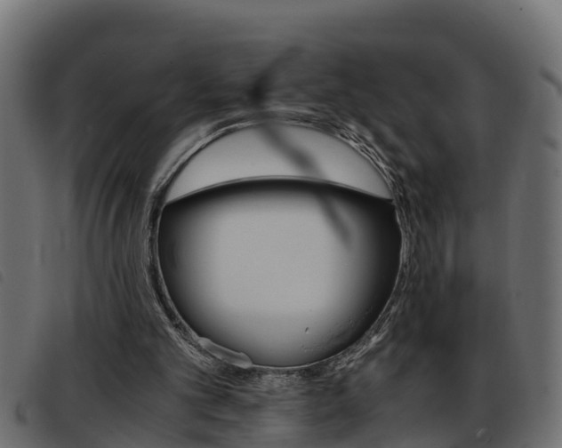 X0000093430101200710120926