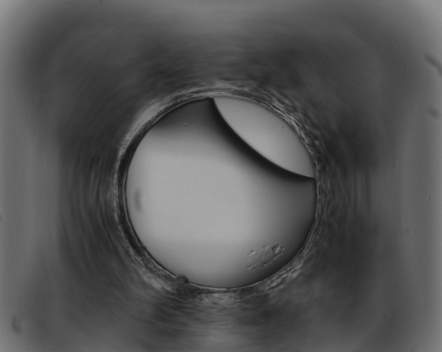 X0000093430102200710120926