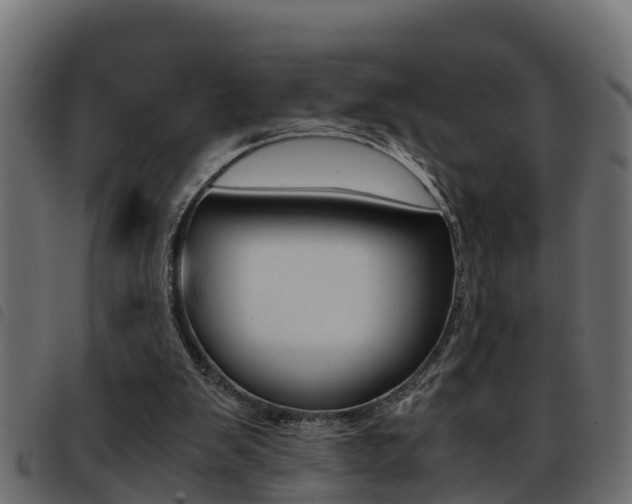 X0000093430103200710120926