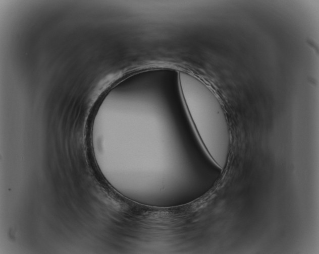 X0000093430104200710120926