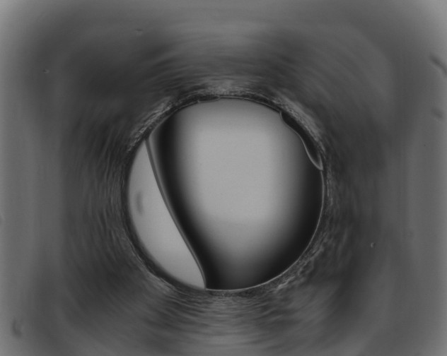 X0000093430105200710120926