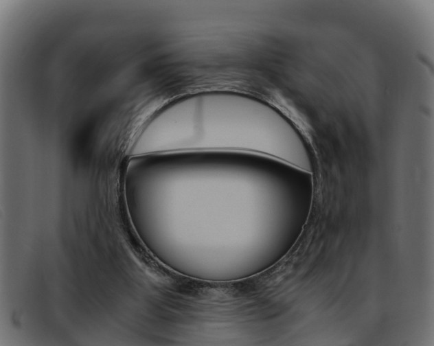 X0000093430107200710120926